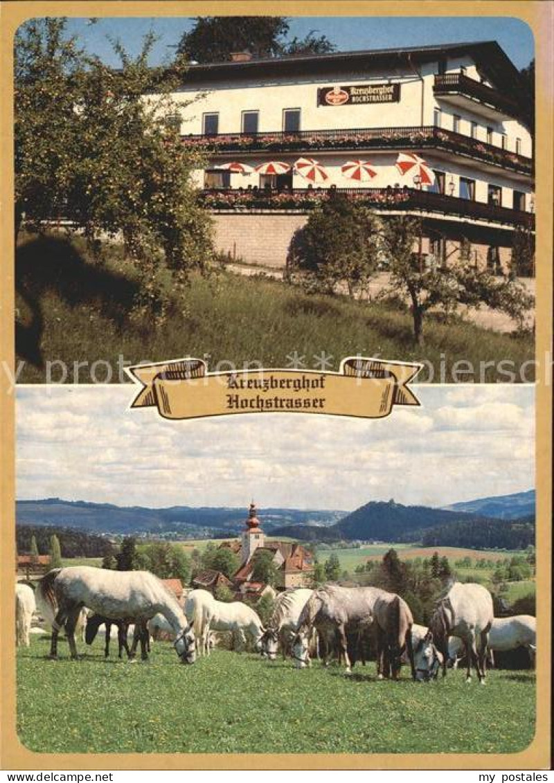 Koeflach Panorama-Pension Kreuzberghof Pferde