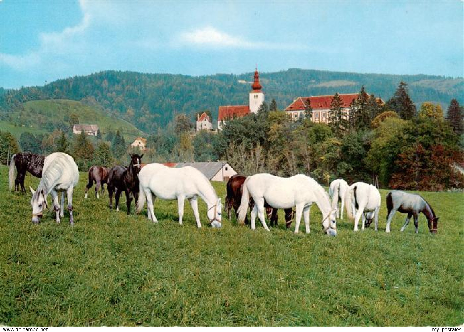 Koeflach Steiermark AT Lipizzanergestuet Piber Pferdekoppe Kirche