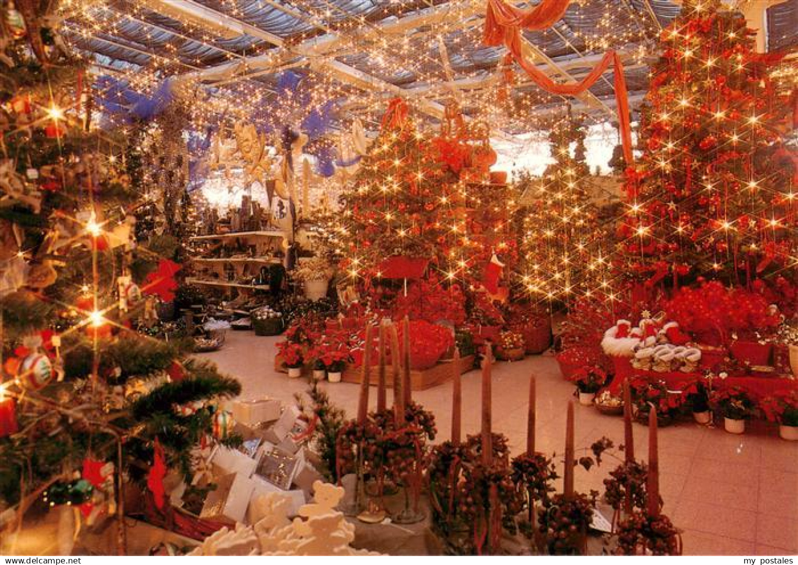 Koeln  Rhein Dingers Garten Center Koeln Weihnachtsbazar