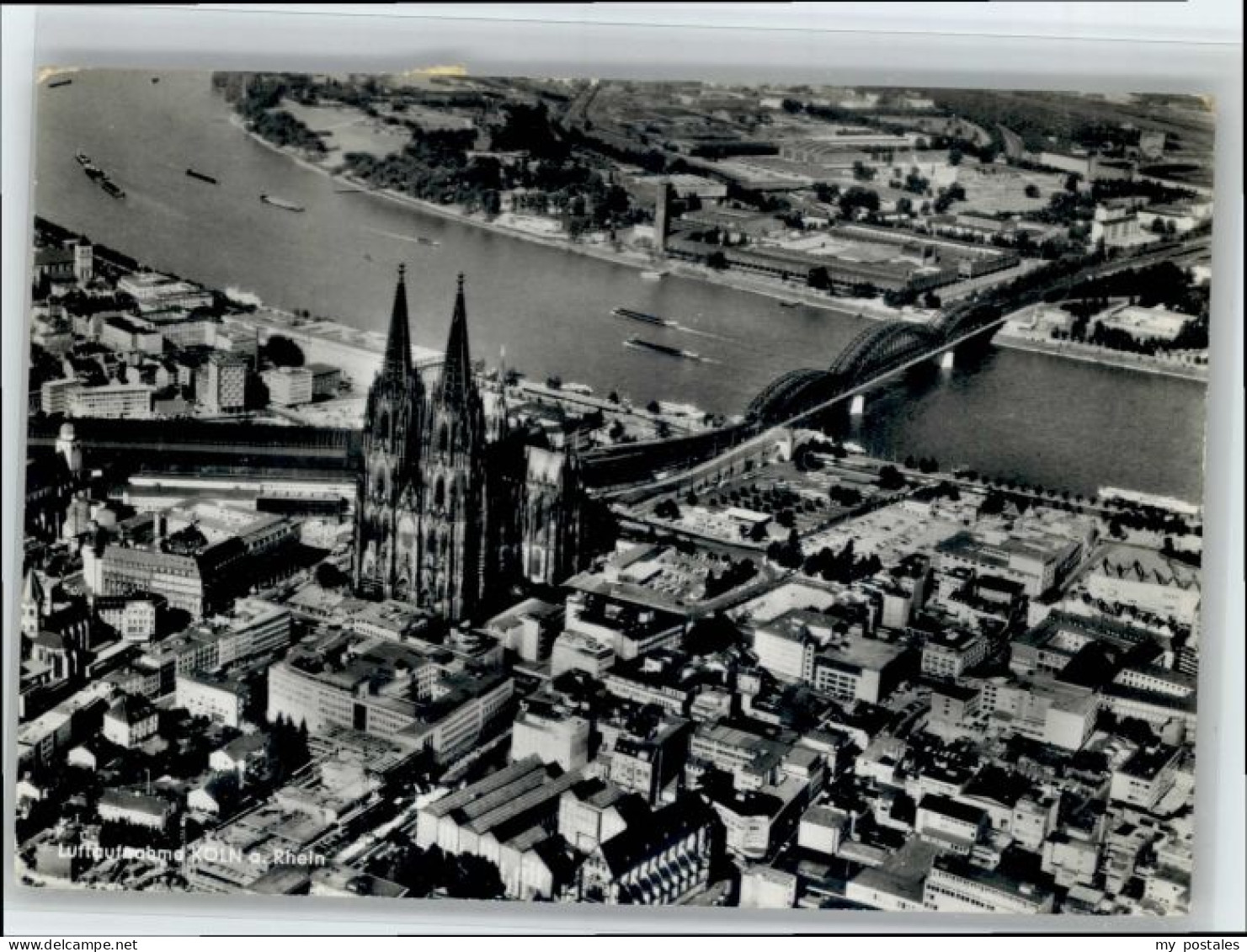 Koeln Rhein Koeln Fliegeraufnahme