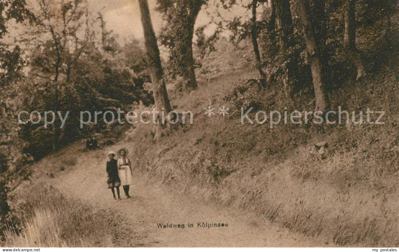 Koelpinsee Usedom Waldweg