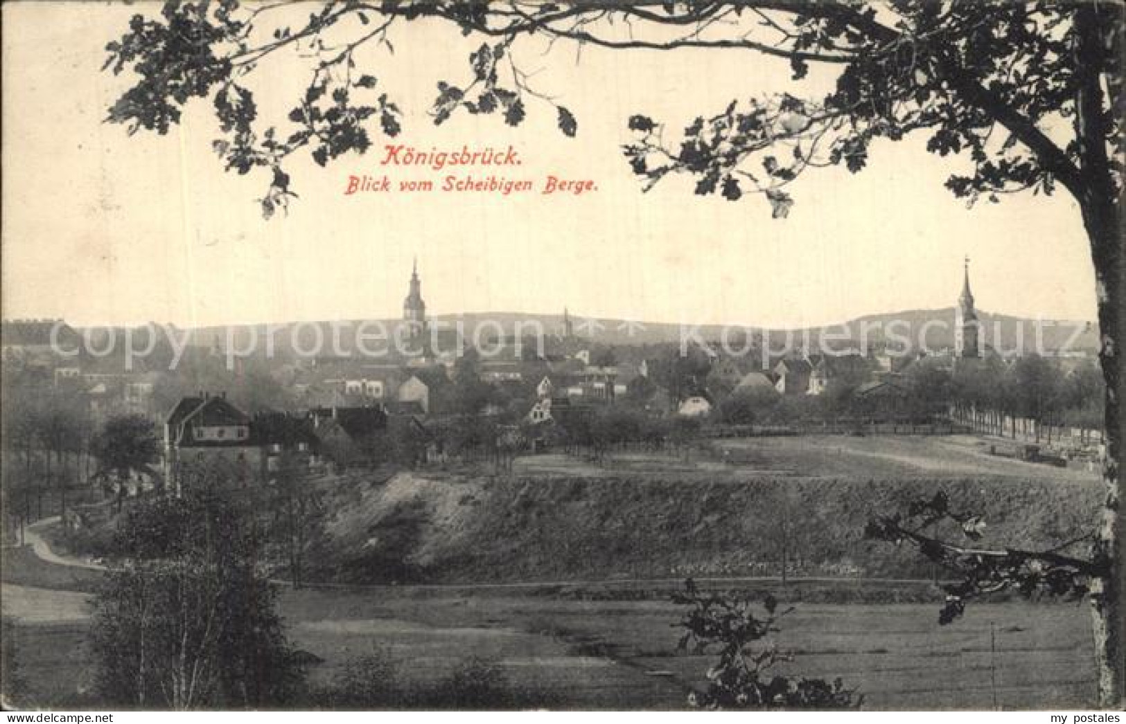 Koenigsbrueck Panorama Blick vom Scheibigen Berge