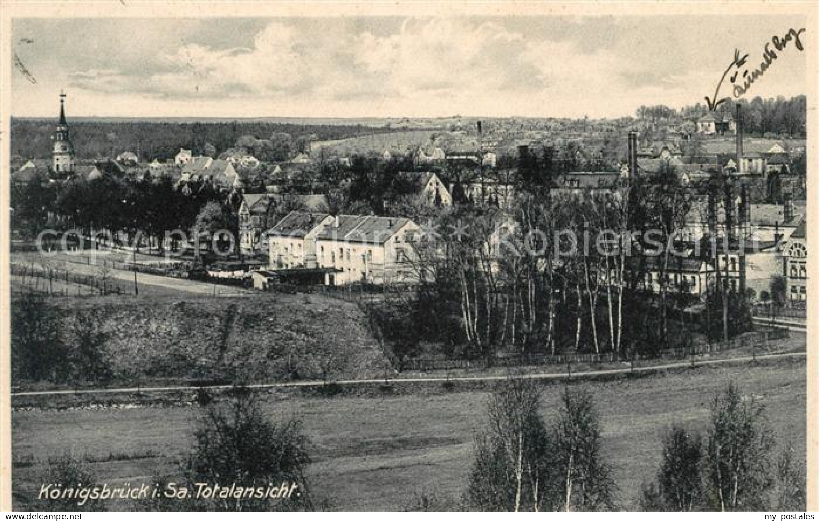 Koenigsbrueck Totalansicht
