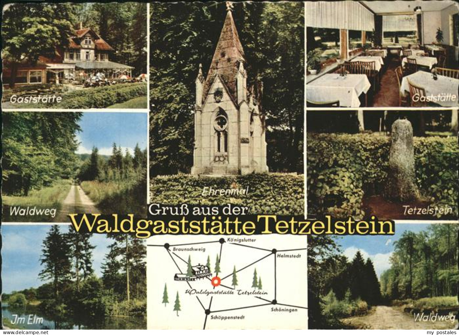 Koenigslutter Elm ---