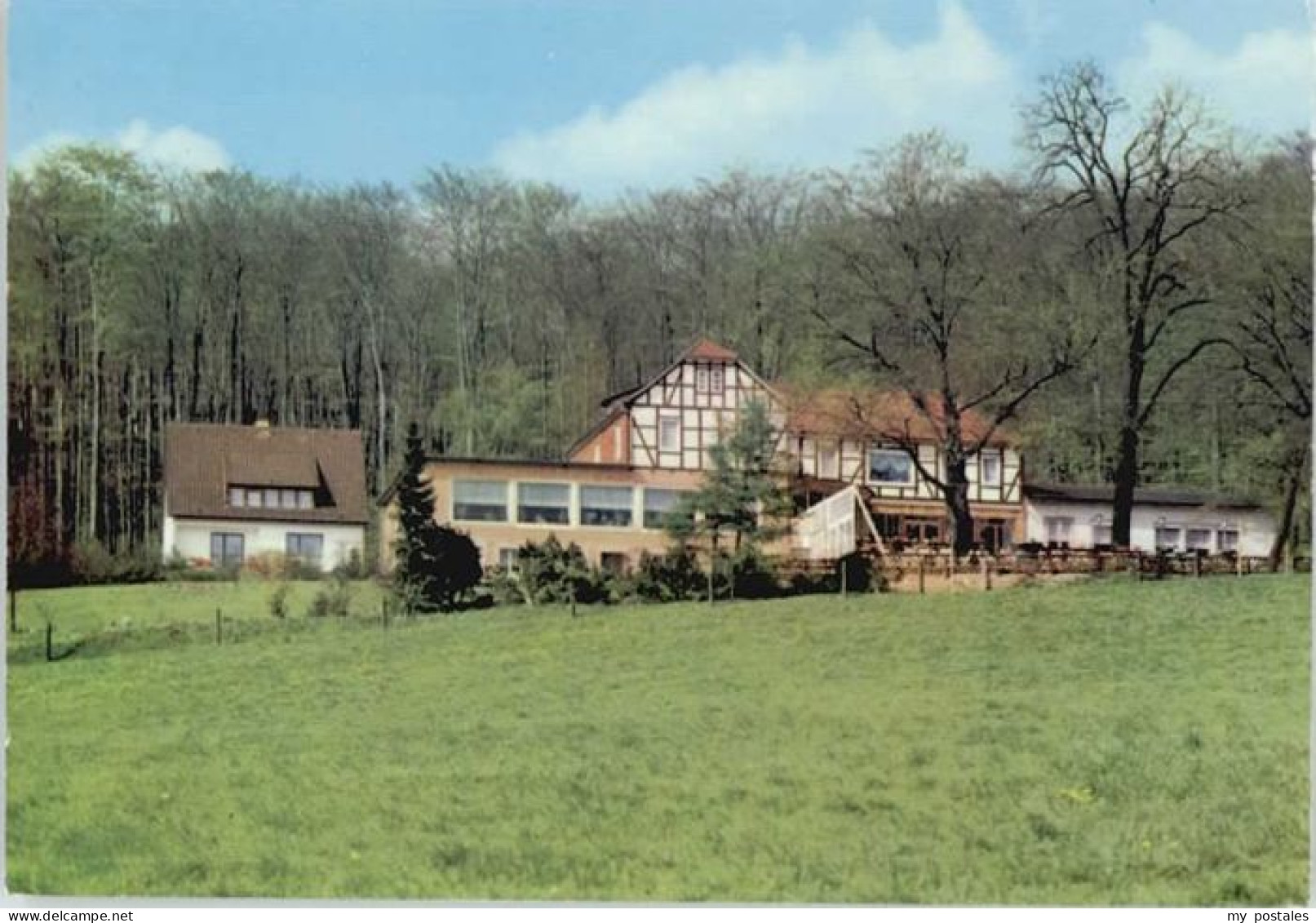 Koenigslutter Elm aus Reitling