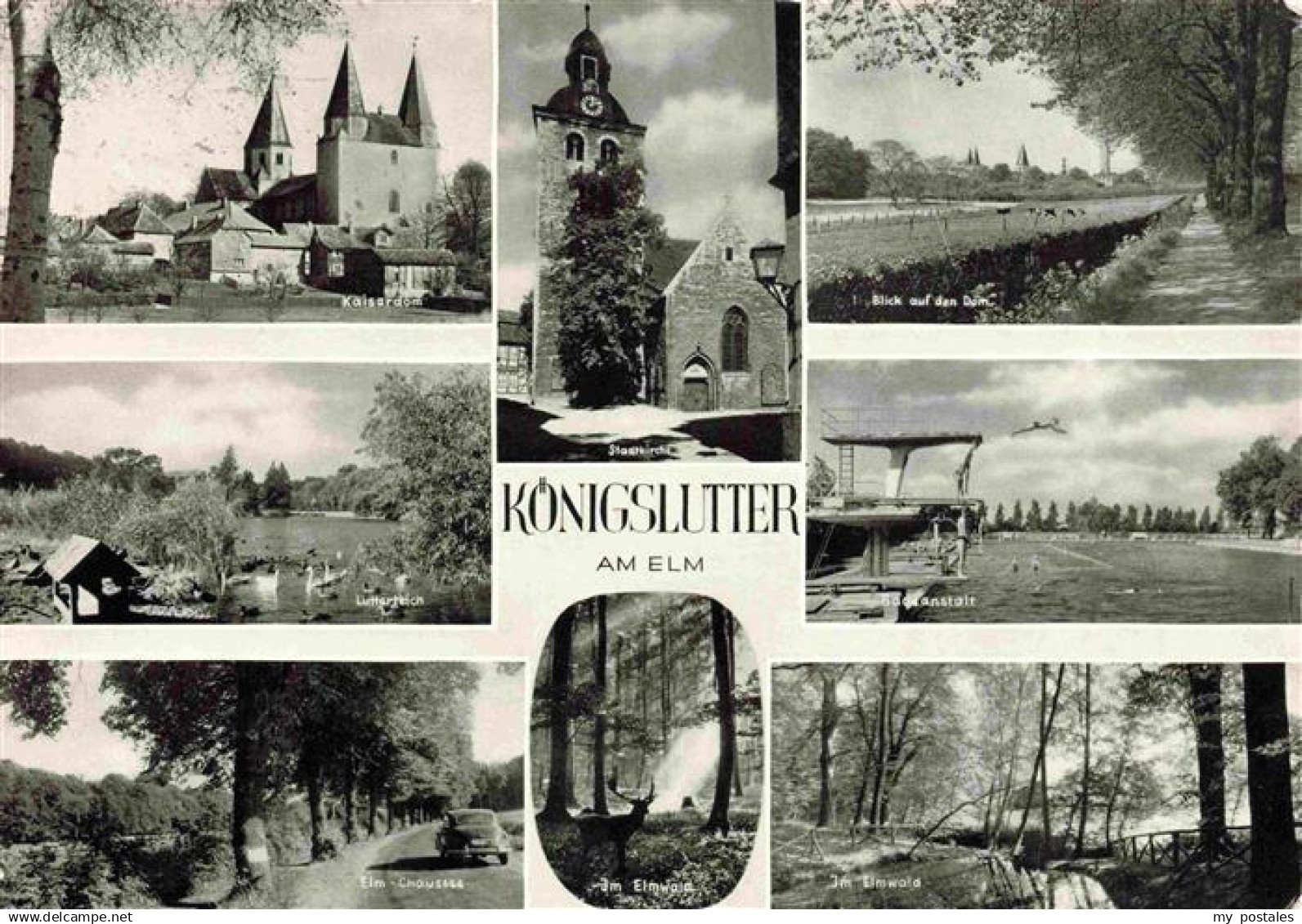 Koenigslutter Elm Kaiserdom Lutterteich Elm Chaussee Stadtkirche Elmwaldpartien