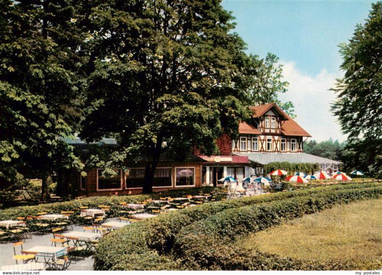 Koenigslutter Elm Waldgaststaette-Tetzelstein Elm Kaffeegarten Terrasse Sonnensc