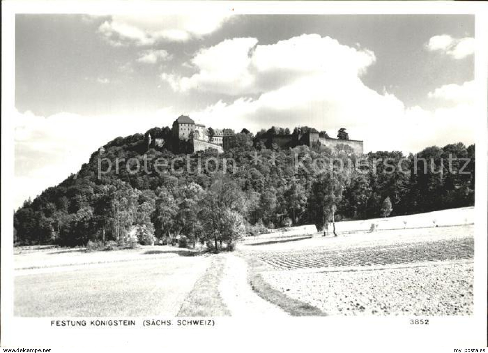 Koenigstein Saechsische Schweiz Fels Festung