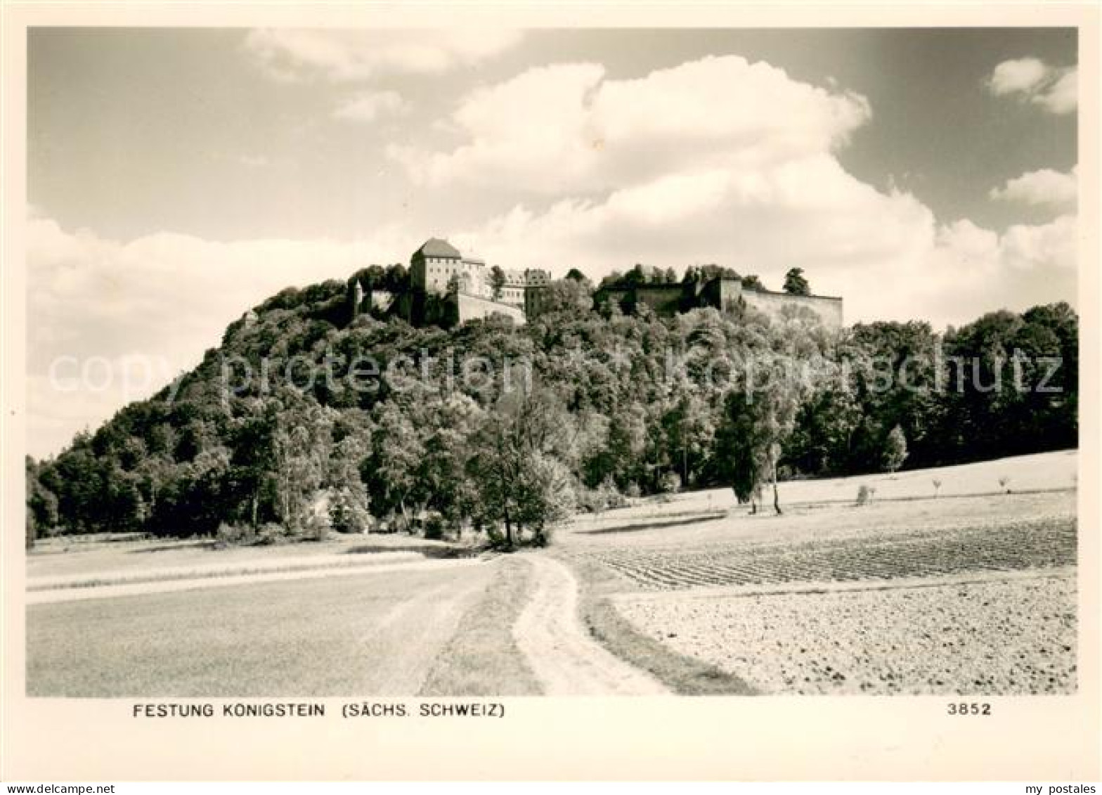 Koenigstein Saechsische Schweiz Festung Koenigstein