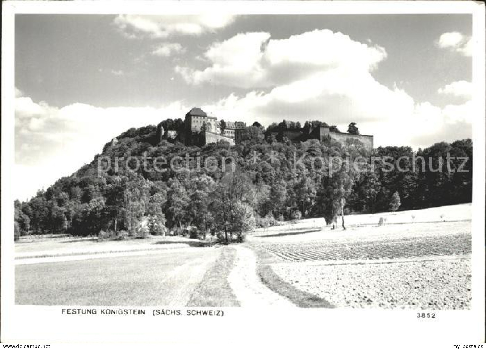 Koenigstein Saechsische Schweiz Festung Koenigstein