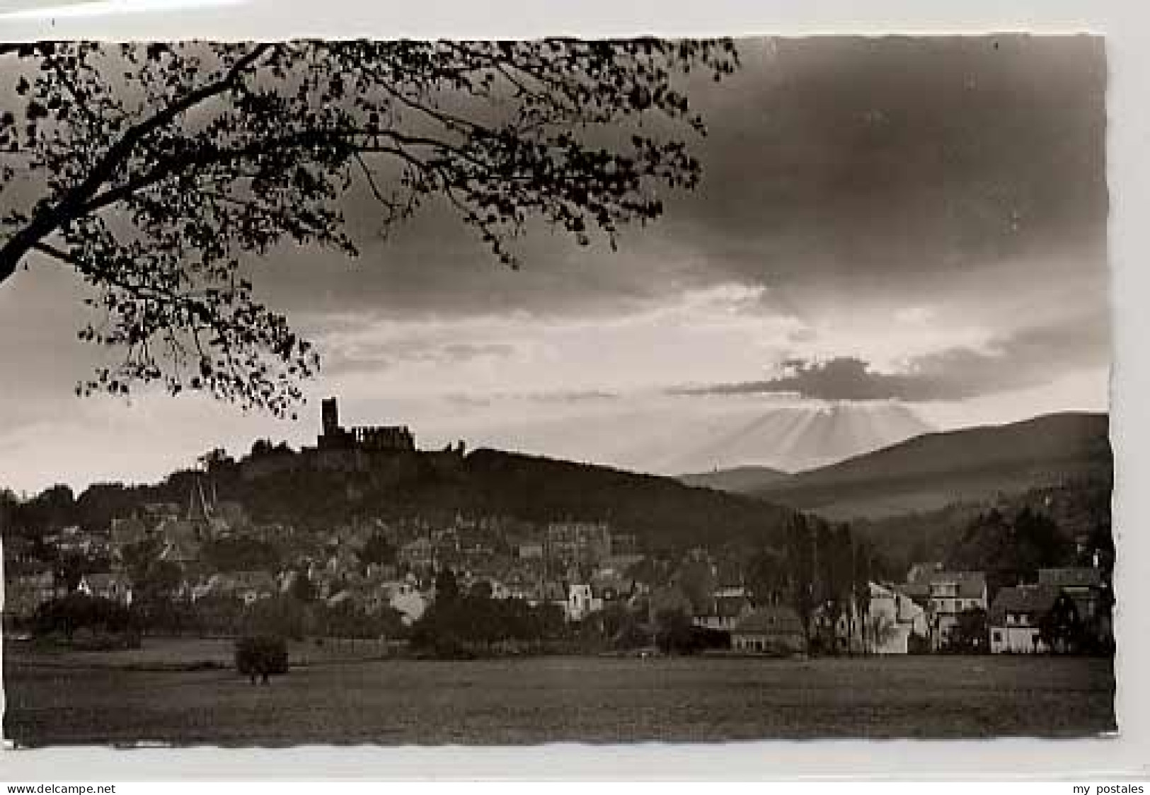 Koenigstein Saechsische Schweiz Koenigstein