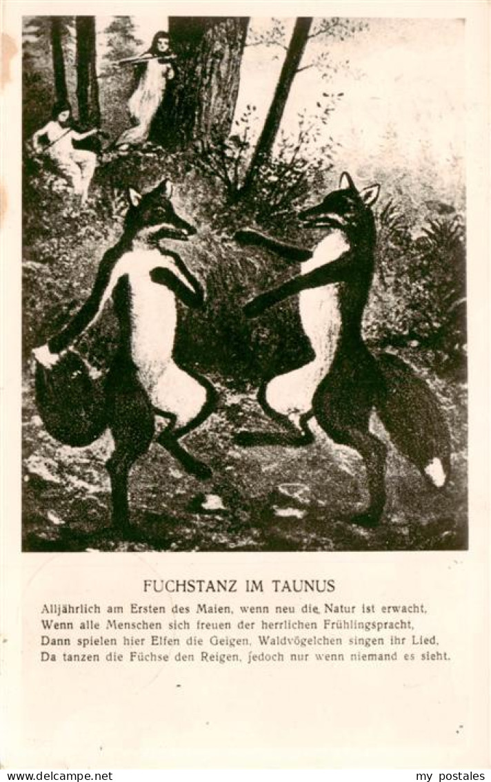 Koenigstein  Taunus Fuchstanz im Taunus