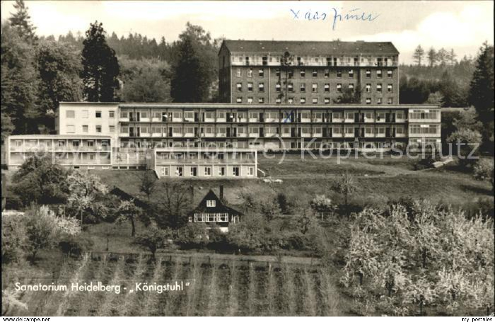 Koenigstuhl Heidelberg Sanatorium Heidelberg