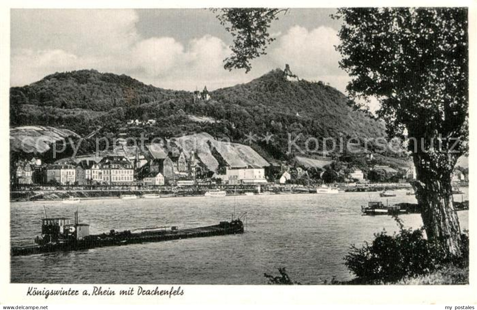 Koenigswinter Drachenfels