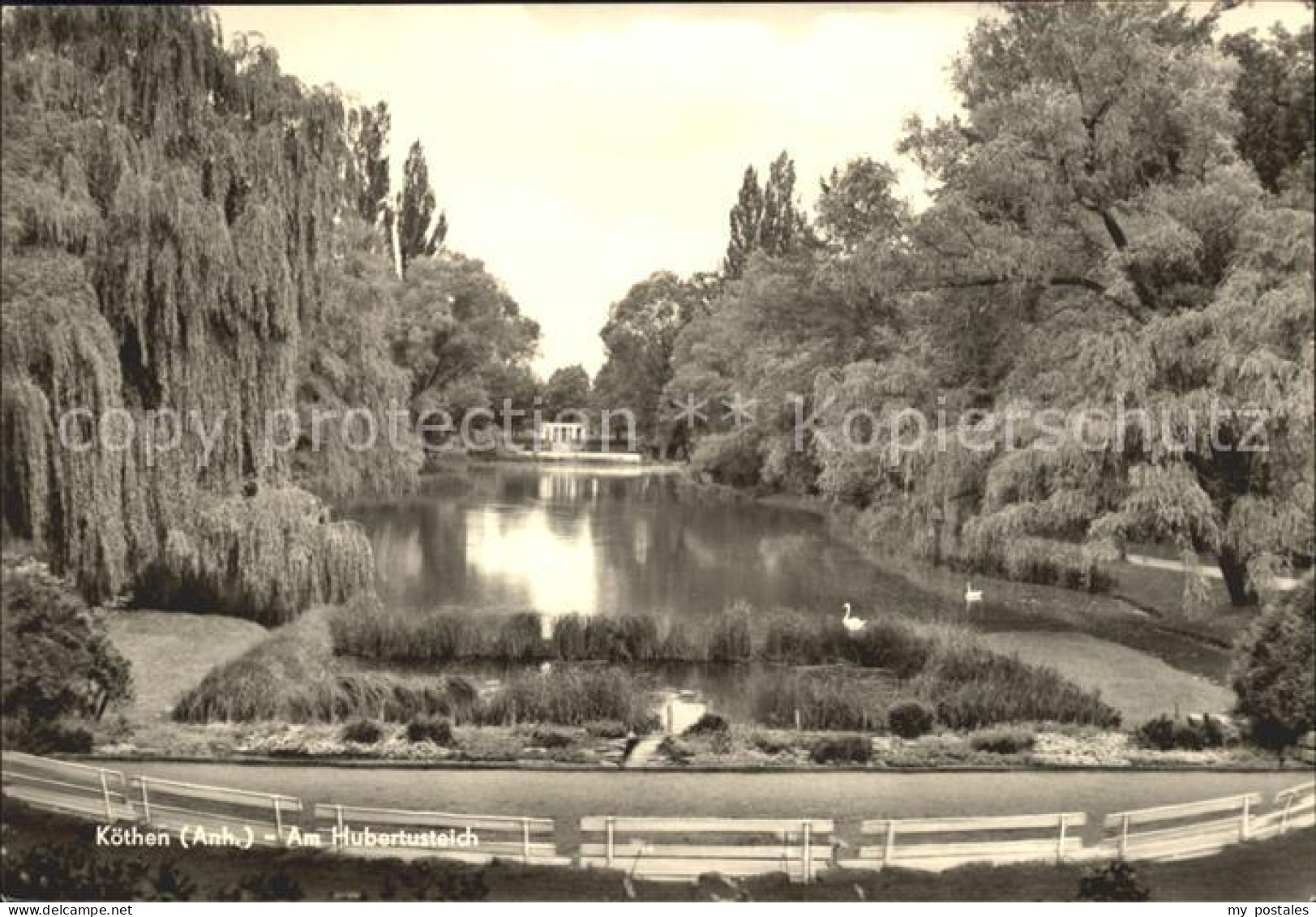Koethen Anhalt Am Hubertusteich