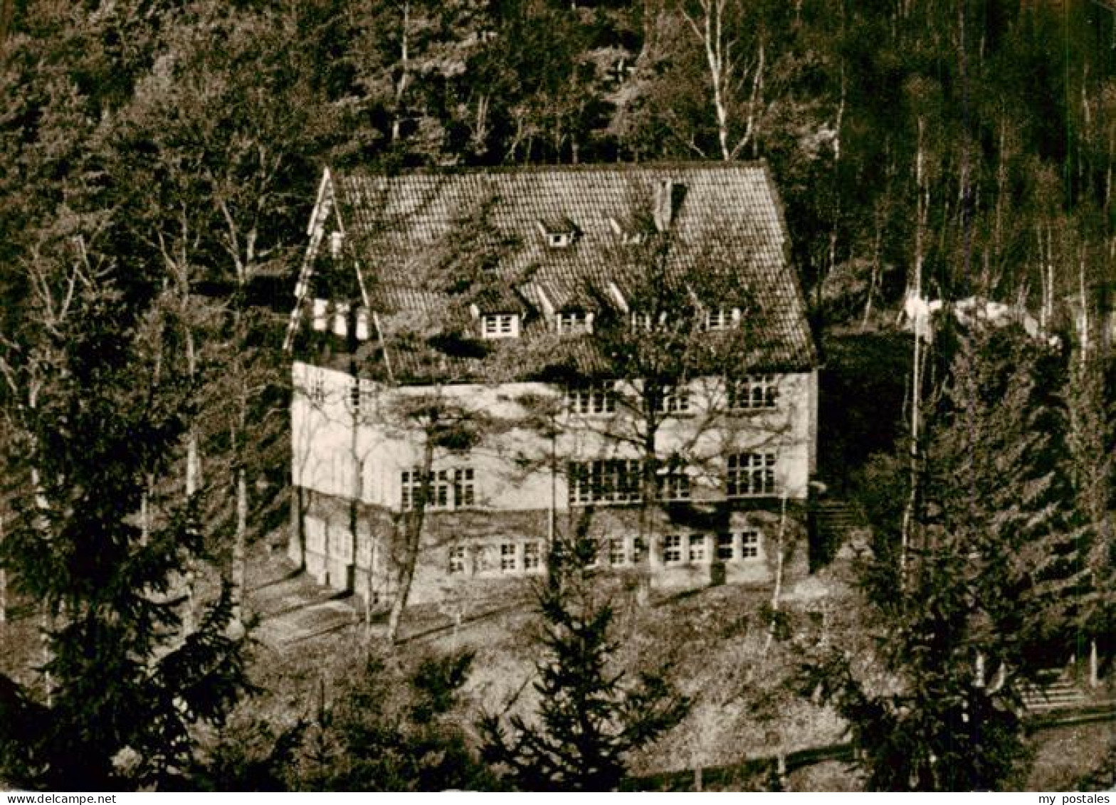 Koettingen Lindlar Jugendherberge Wald Birken Tannen Gebaeude Rheinisch-Bergisch
