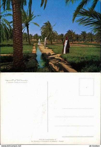 Kuwait-Stadt الكويت A GREEN FARM IN KUWAITالكويت 1971