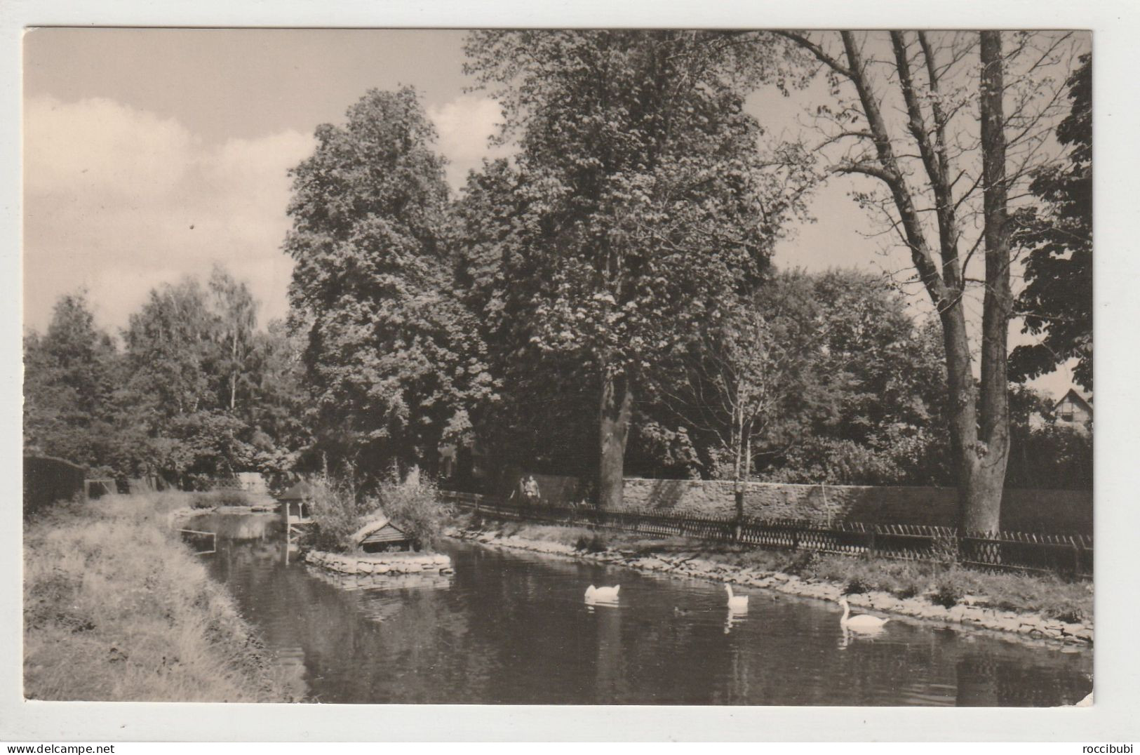 Kölleda, Kreis Sömmerda, Schwanenteich, Thüringen