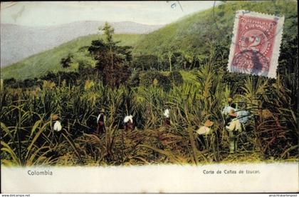 CPA Colombia Kolumbien, Corte de Canas de tzucar