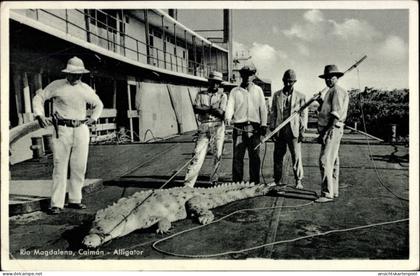 CPA Kolumbien, Rio Magdalena, Alligator