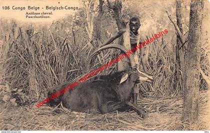 Antilope cheval - paardantilope - Congo Belge Belgisch Kongo