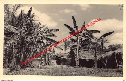 Banana - foto - Congo Belge Belgisch Kongo