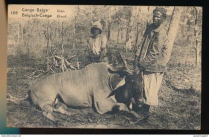 BELGISCH CONGO  - ELAN  ELAND      2 SCANS