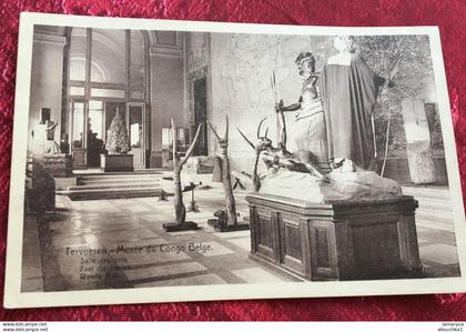 Congo Belge-Tervuren  Musée du Congo salle des bois  Afrique Congo - Kinshasa (ex Zaire) -Carte Postale-CPA