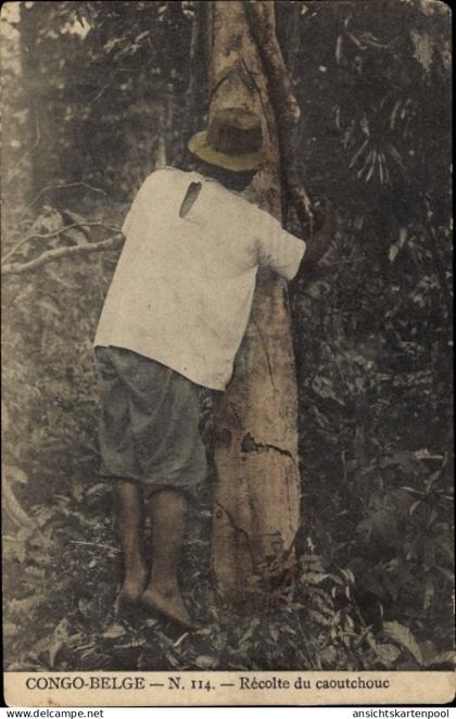AK Belgisch-Kongo Zaire, Kautschukernte