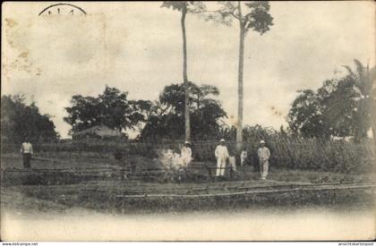 CPA Belgisch Kongo?, Kolonisten auf einer Plantage