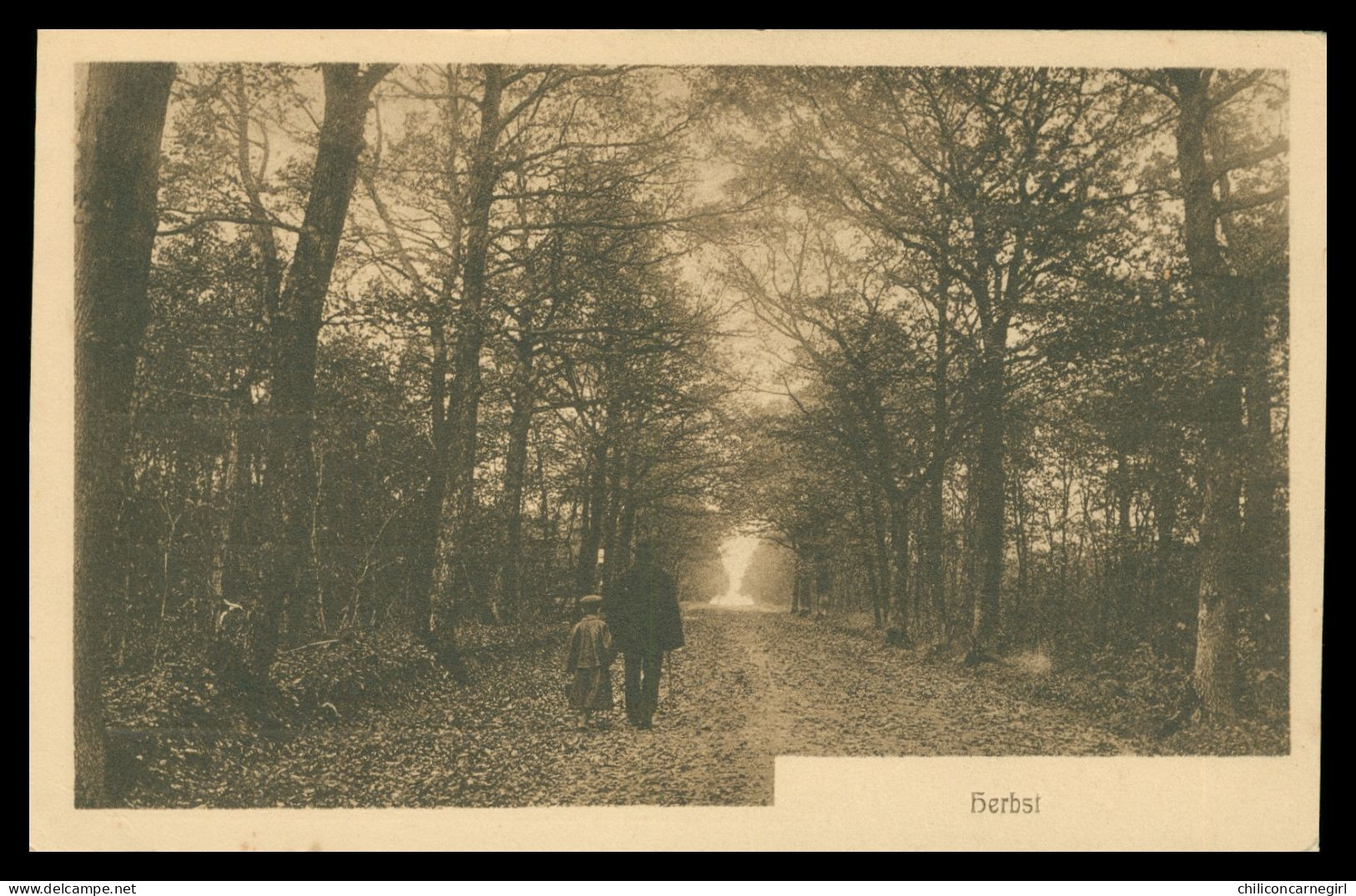 * KONIGSTEIN TAUNUS - KOENIGSTEIN - HERBST - Animée - Verlag SCHILLING