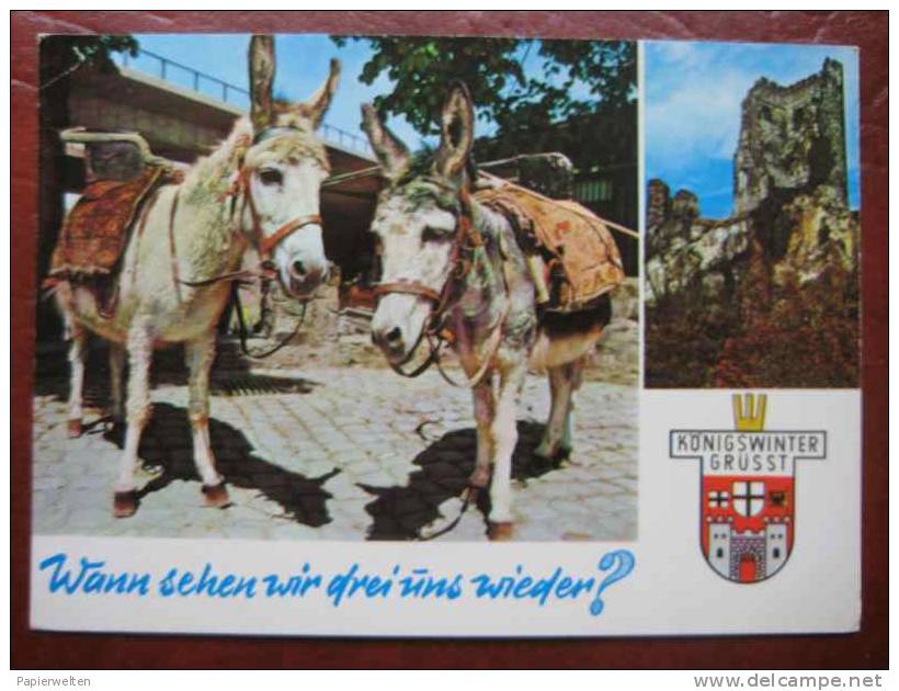 Königswinter - "Taxi" Zweibildkarte