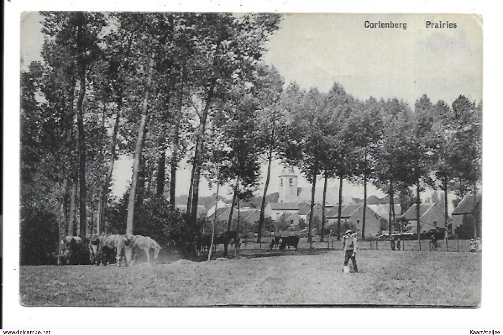 Kortenberg - Prairies.