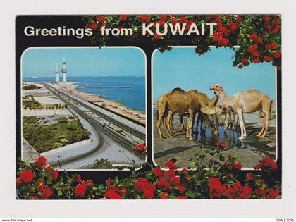 KUWAIT Greetings of Kuwait, Camels, The Kuwait Towers, Vintage Photo Postcard RPPc 72232