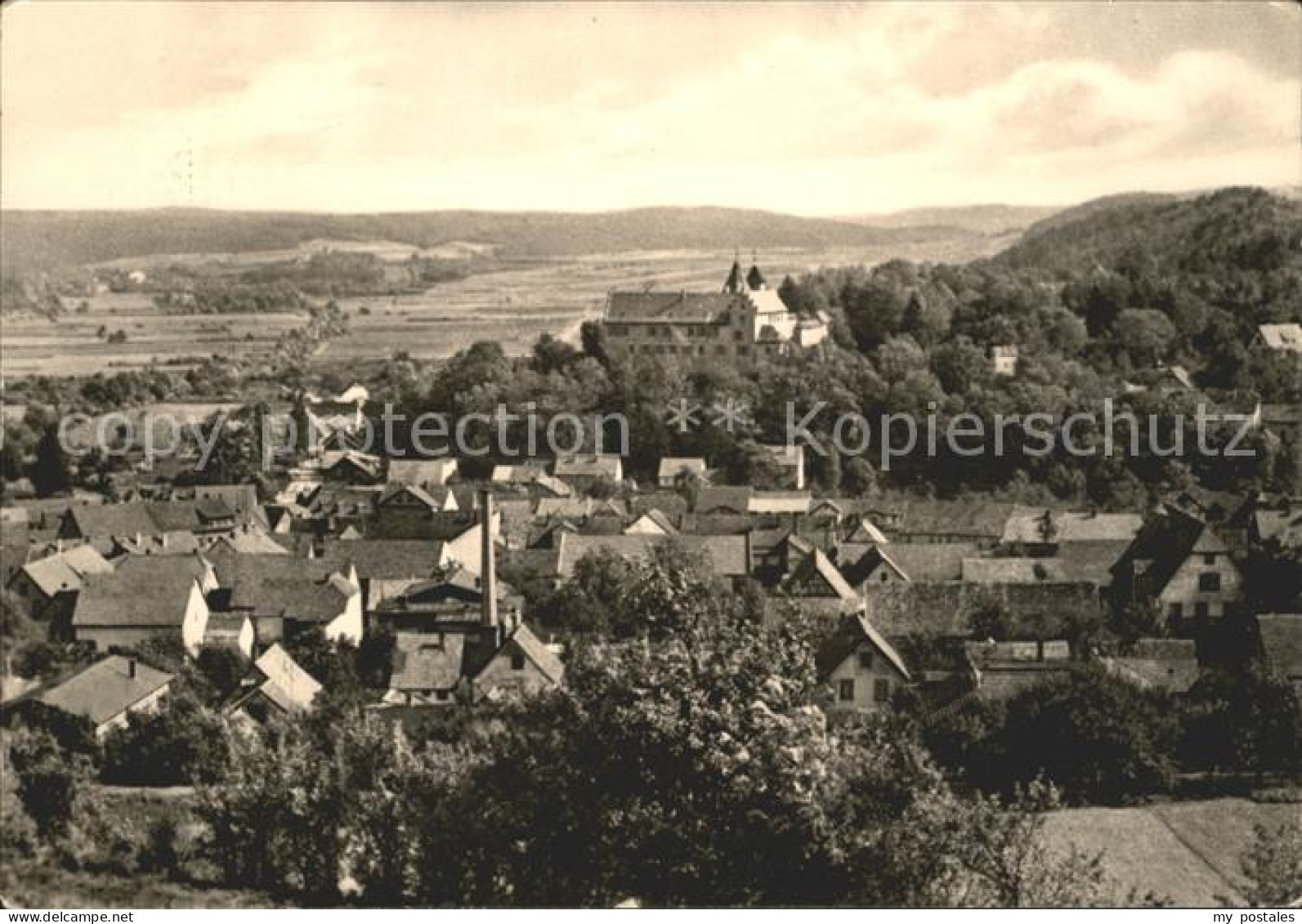 Kranichfeld mit Niederburg