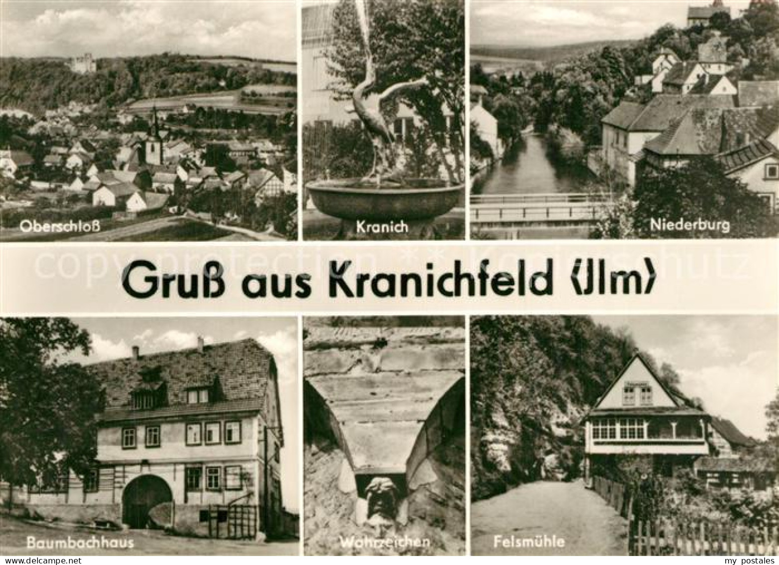 Kranichfeld Oberschloss Kranich Brunnen Niederburg Baumbachhaus Wahrzeichen Fels