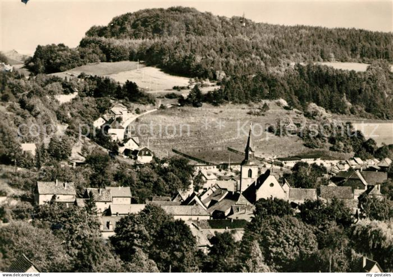 Kranichfeld Panorama vom Hain