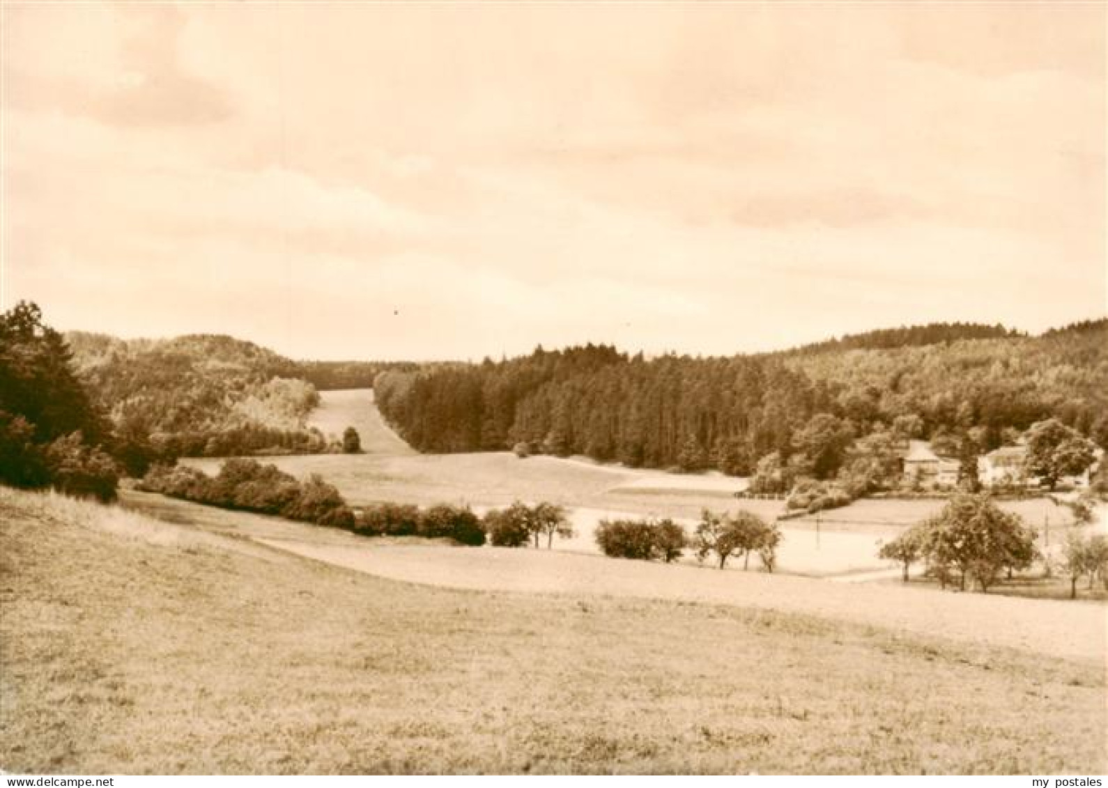 Kranichfeld Zieglersgrund Tal Wiesen Wald Landschaft Haeuser