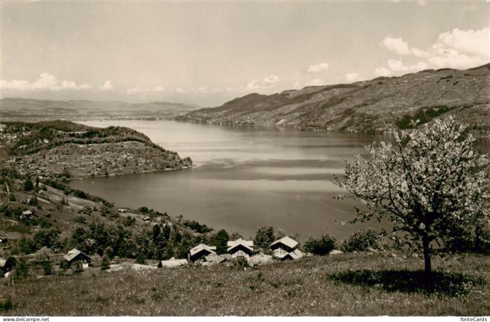 Krattigen BE am Thunersee