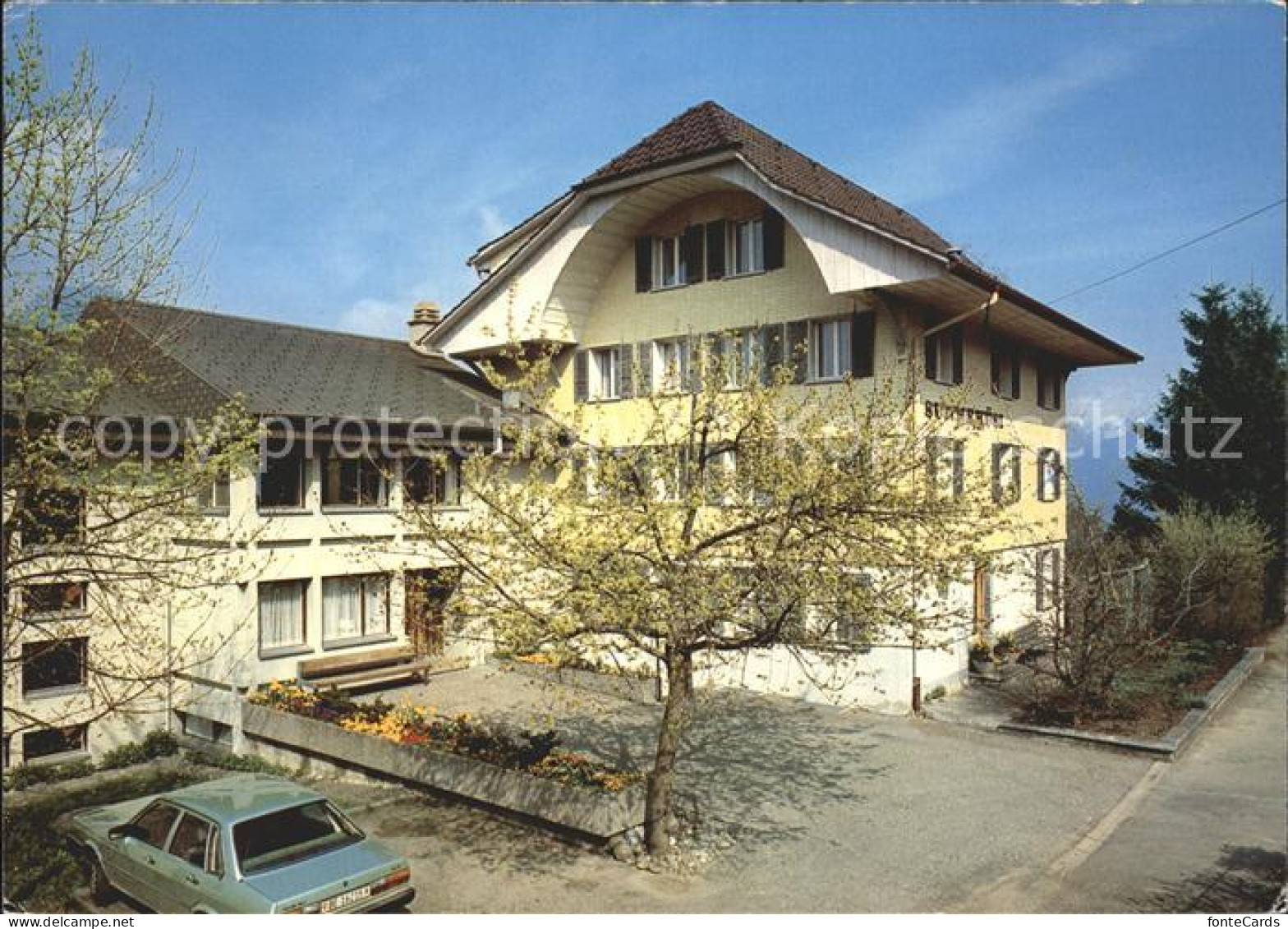 Krattigen Sunnehuesi