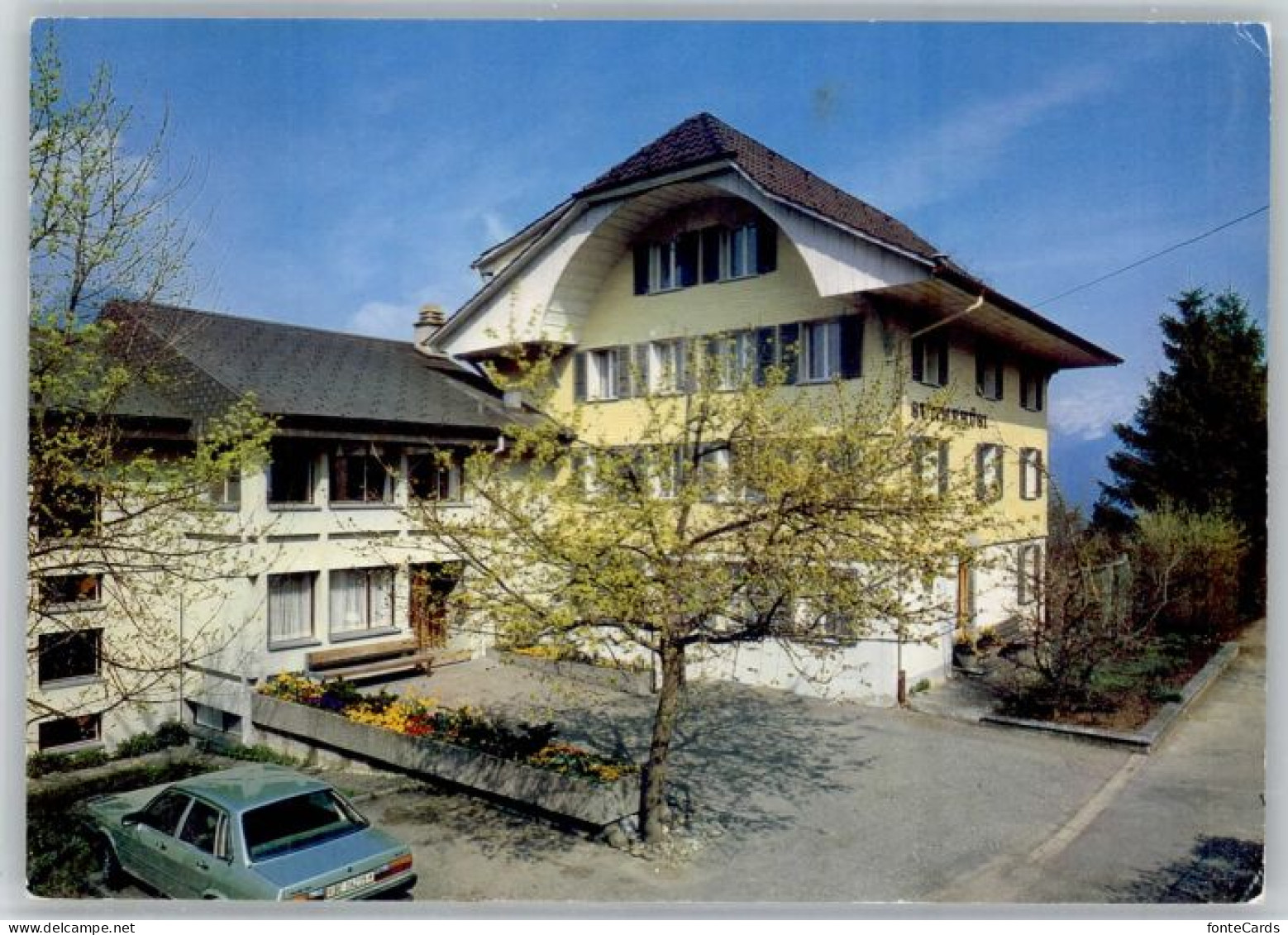 Krattigen Sunnehuesi