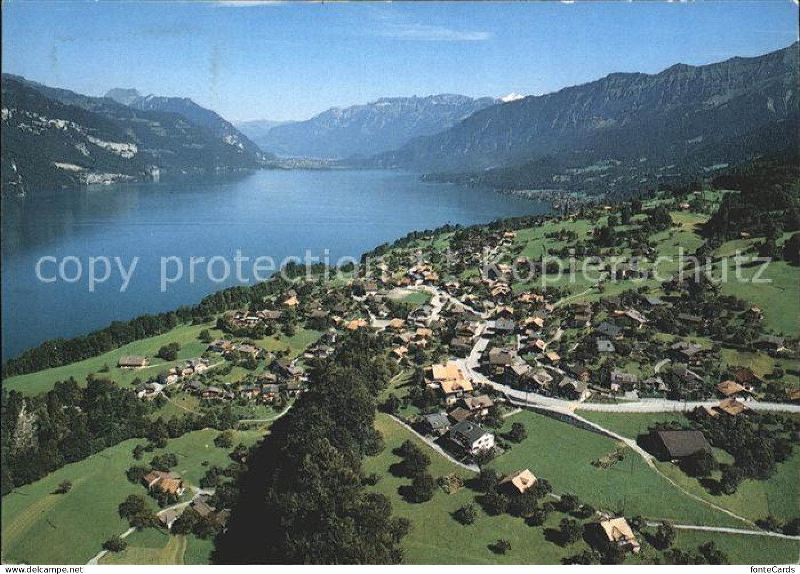 Krattigen Thunersee Alpenpanorama Fliegeraufnahme