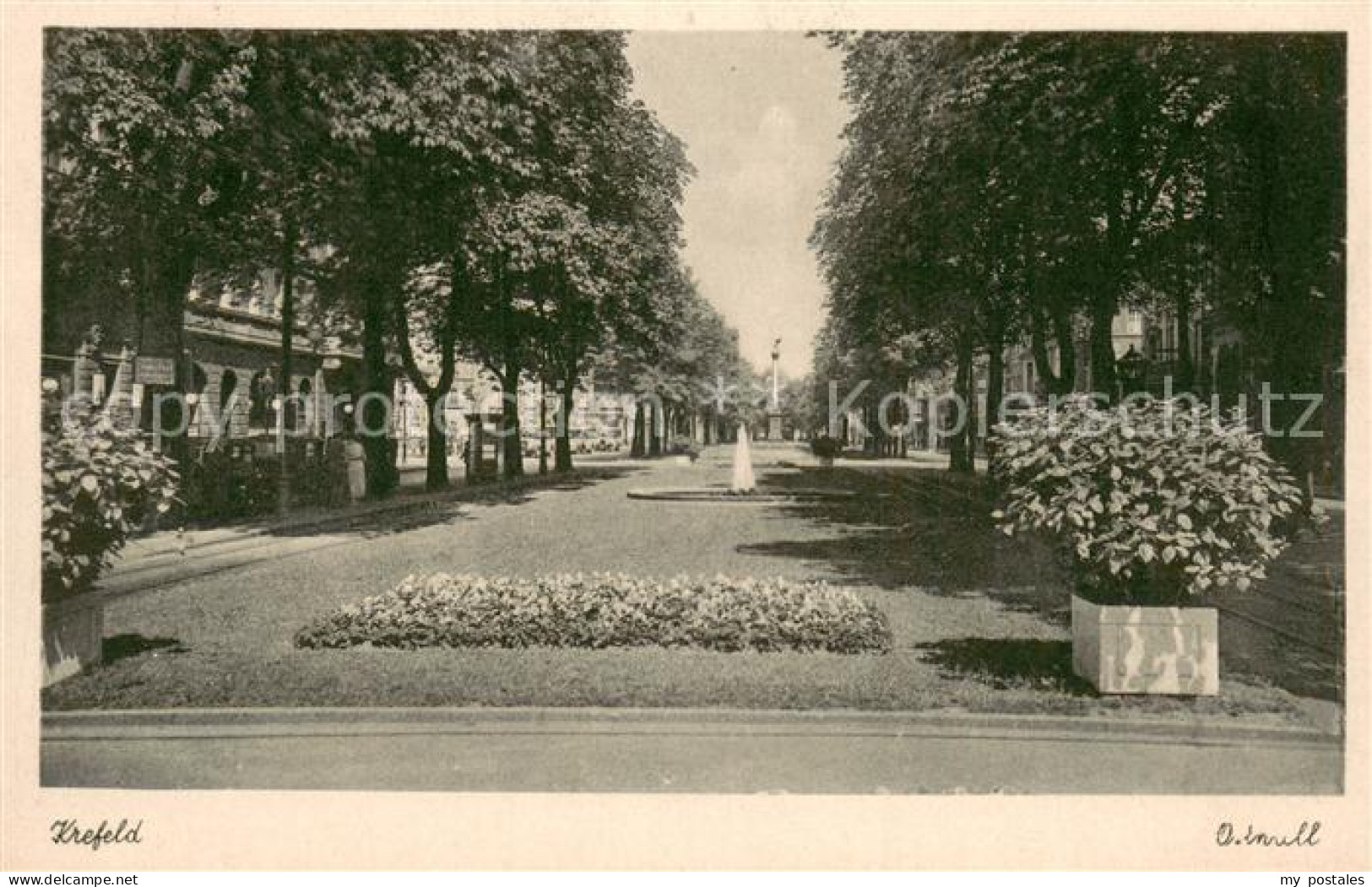 Krefeld Allee