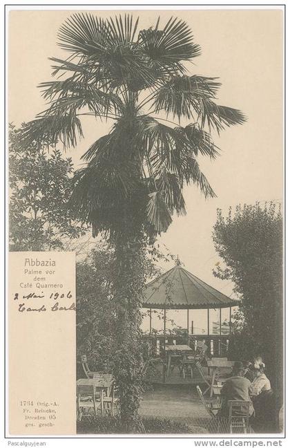 CPA CROATIE - ABBAZIA - PALME VOR DEM CAFE QUARNERO