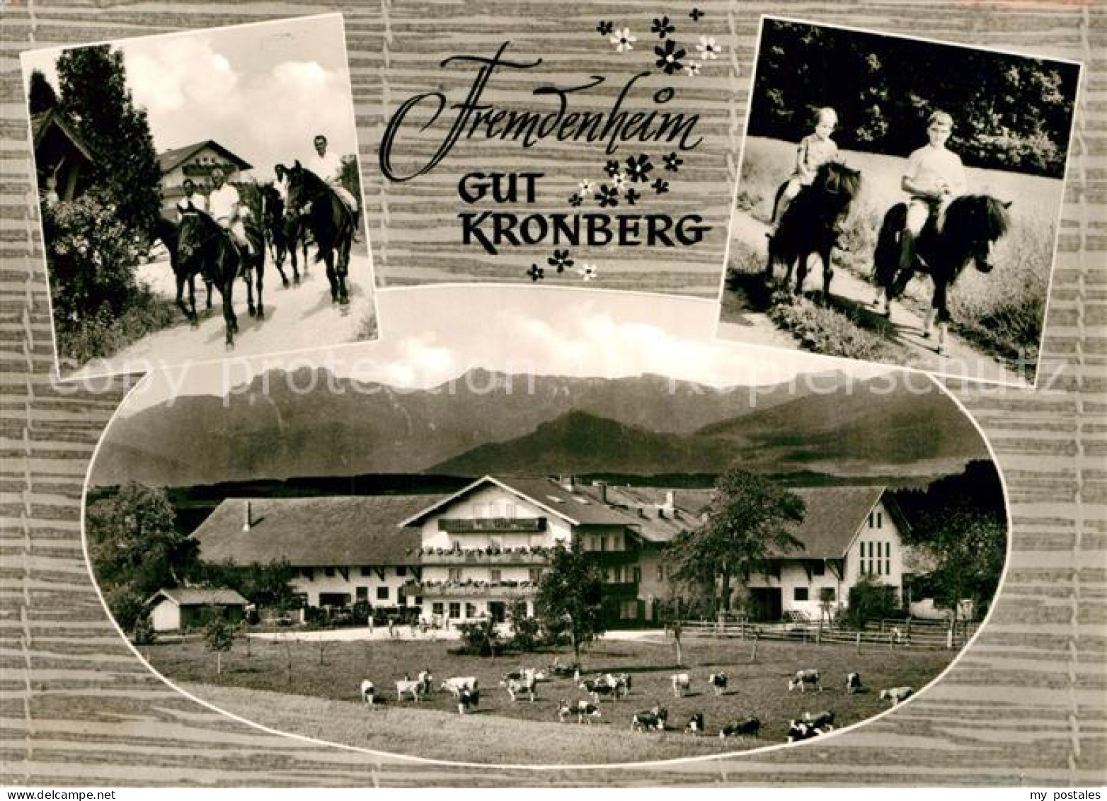 Kronberg Hoeslwang Fremdenheim Reiterhof Gut Kronberg