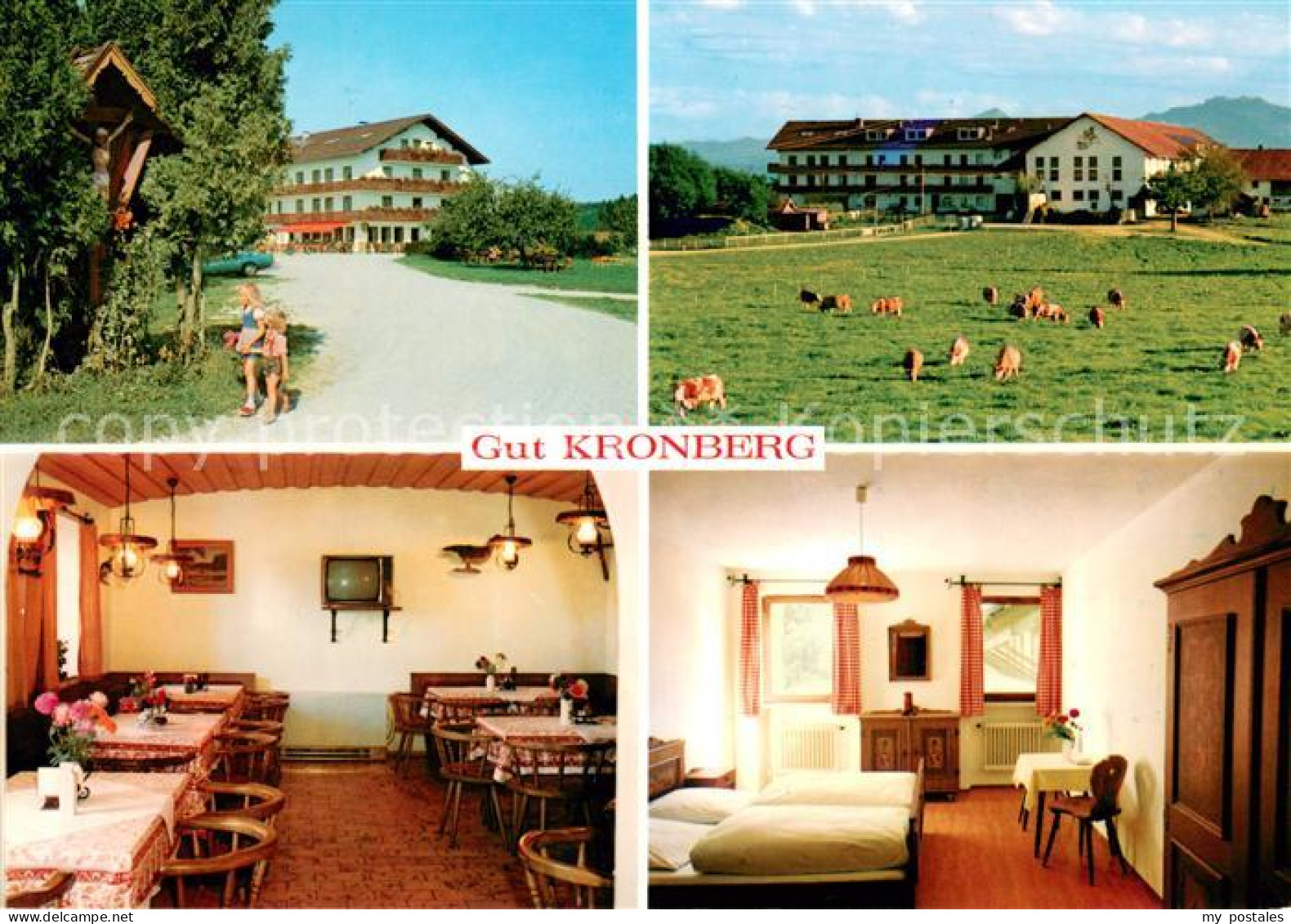 Kronberg Hoeslwang Gut Kronberg Gaststube Zimmer Wiese