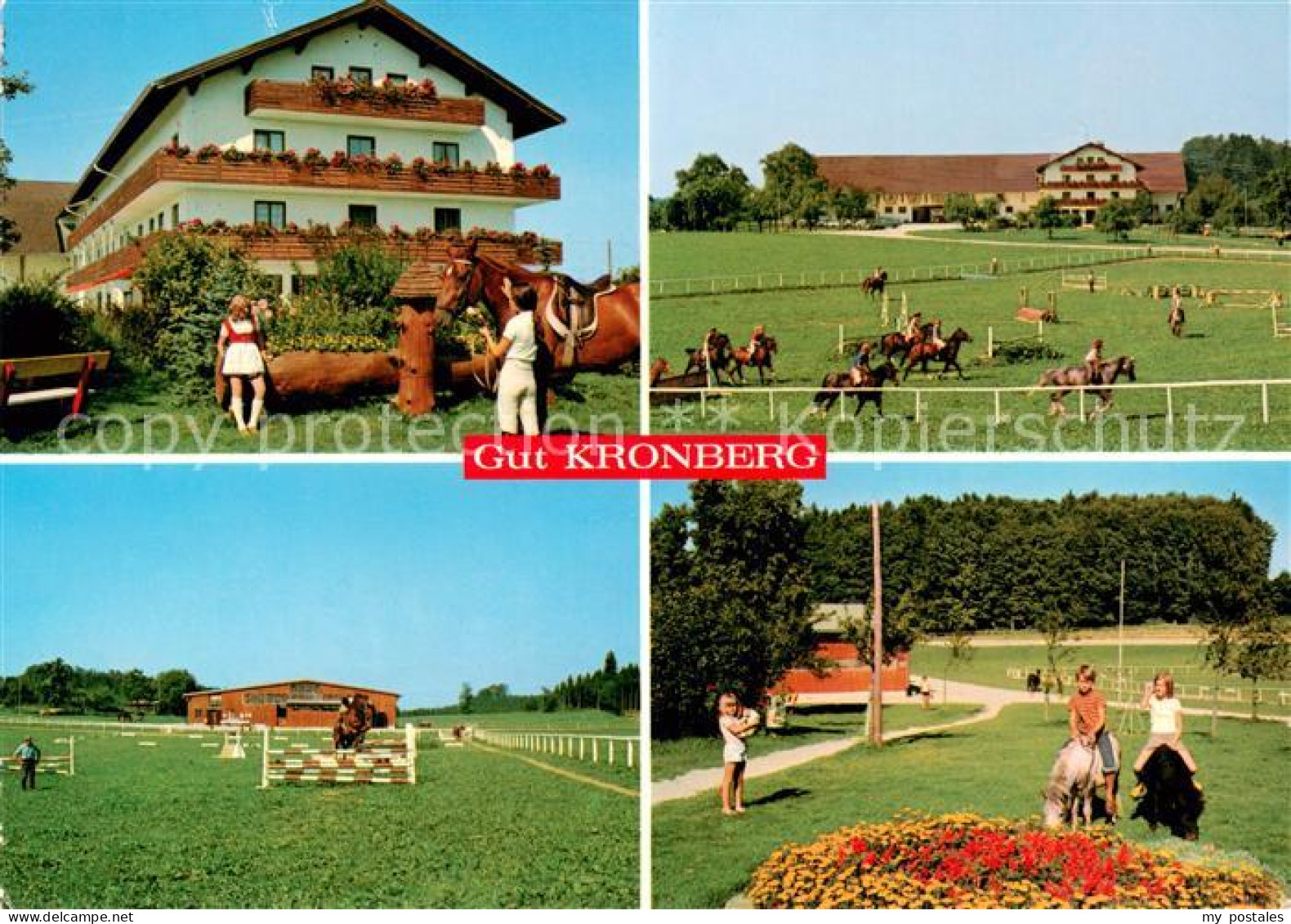 Kronberg Hoeslwang Gut Kronberg Reitplatz Springreiter Ponys