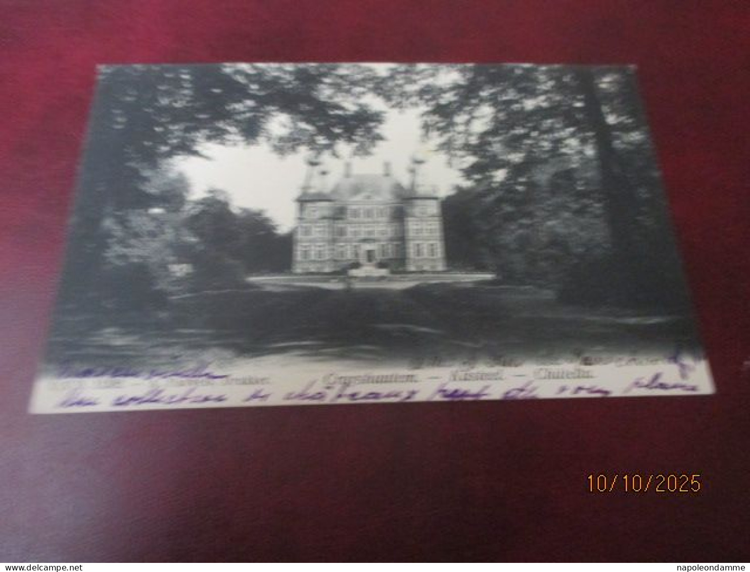 Kruishoutem, Kasteel,