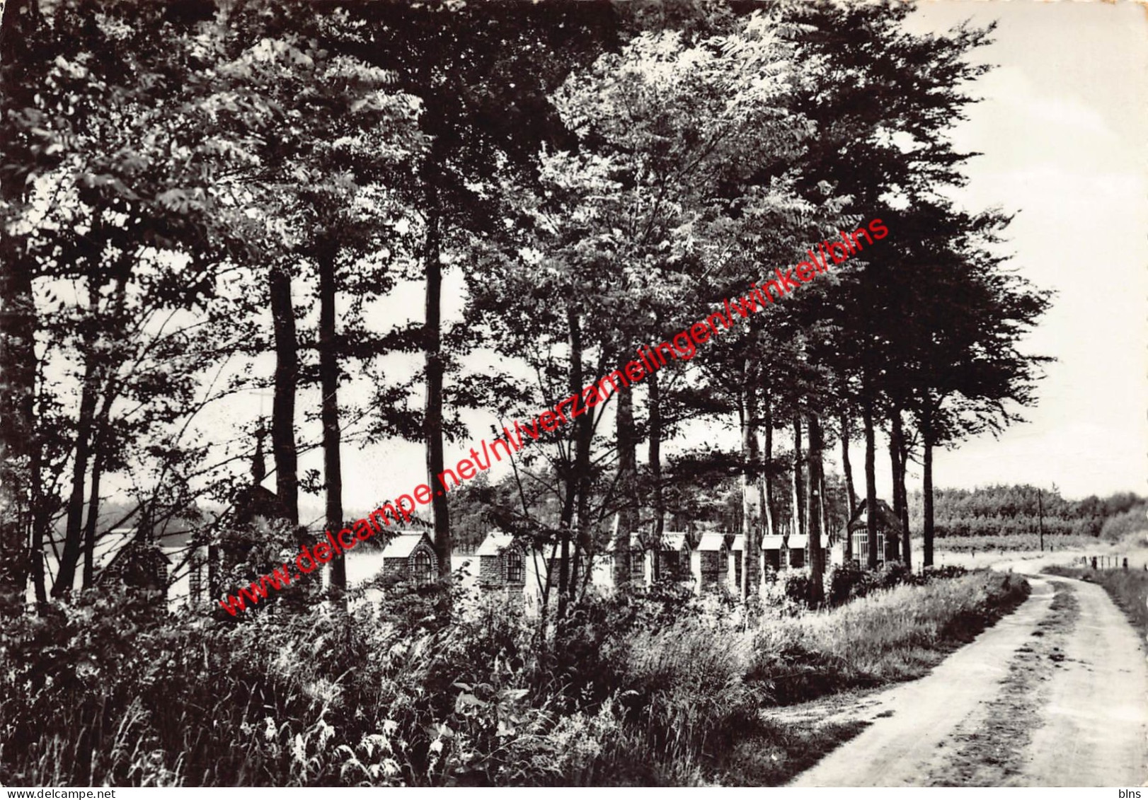 Kruisweg - Vorselaar