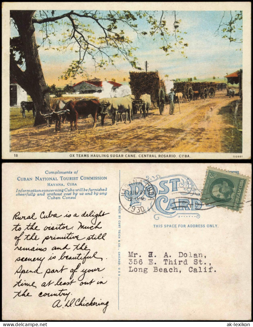 Kuba allgemein OX TEAMS HAULING SUGAR CANE, CENTRAL ROSARIO, CUBA. 1930